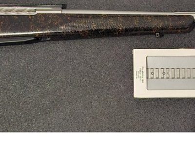 tikka_1_1280